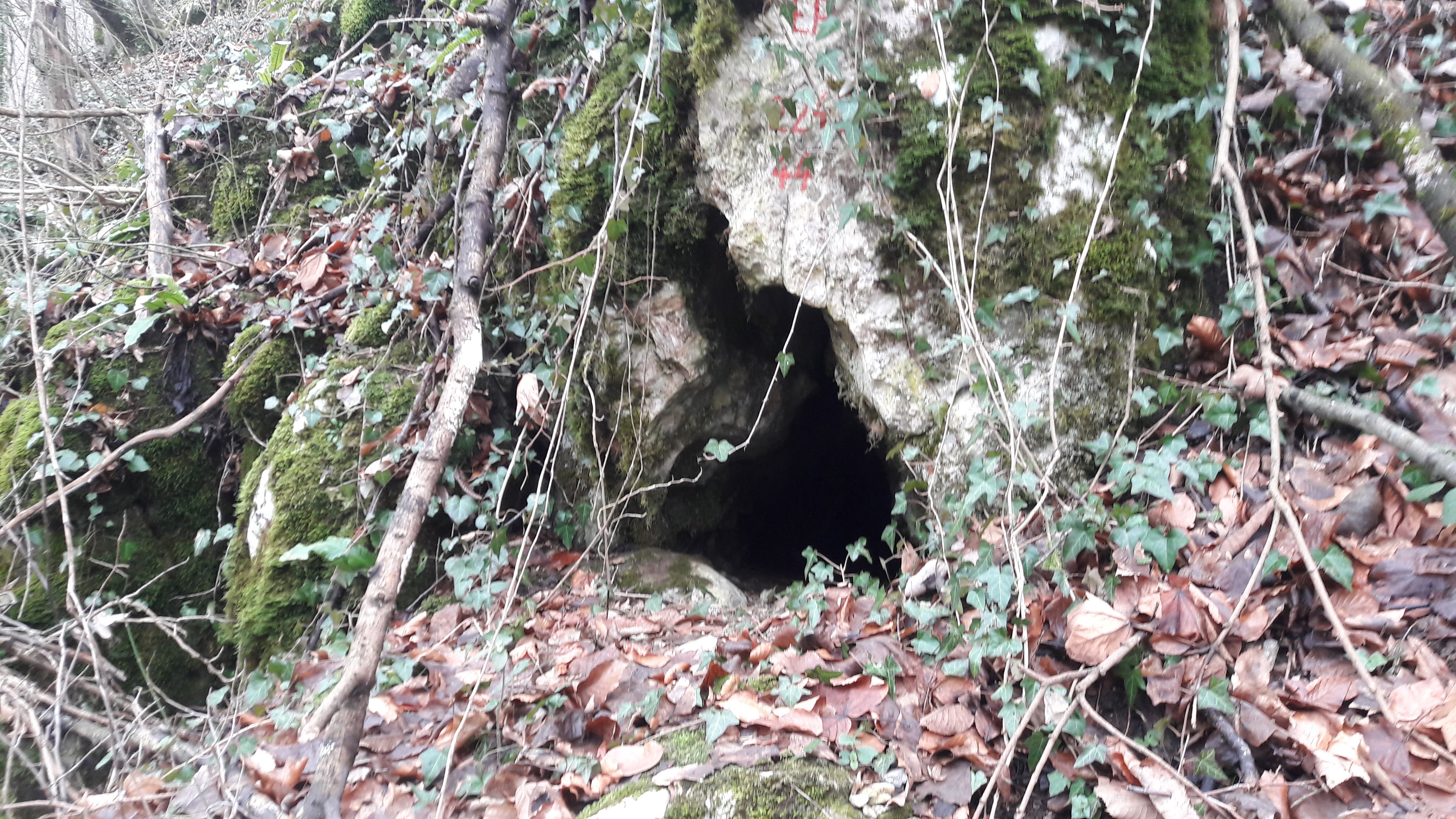 Pestera cu Cot - Image 3